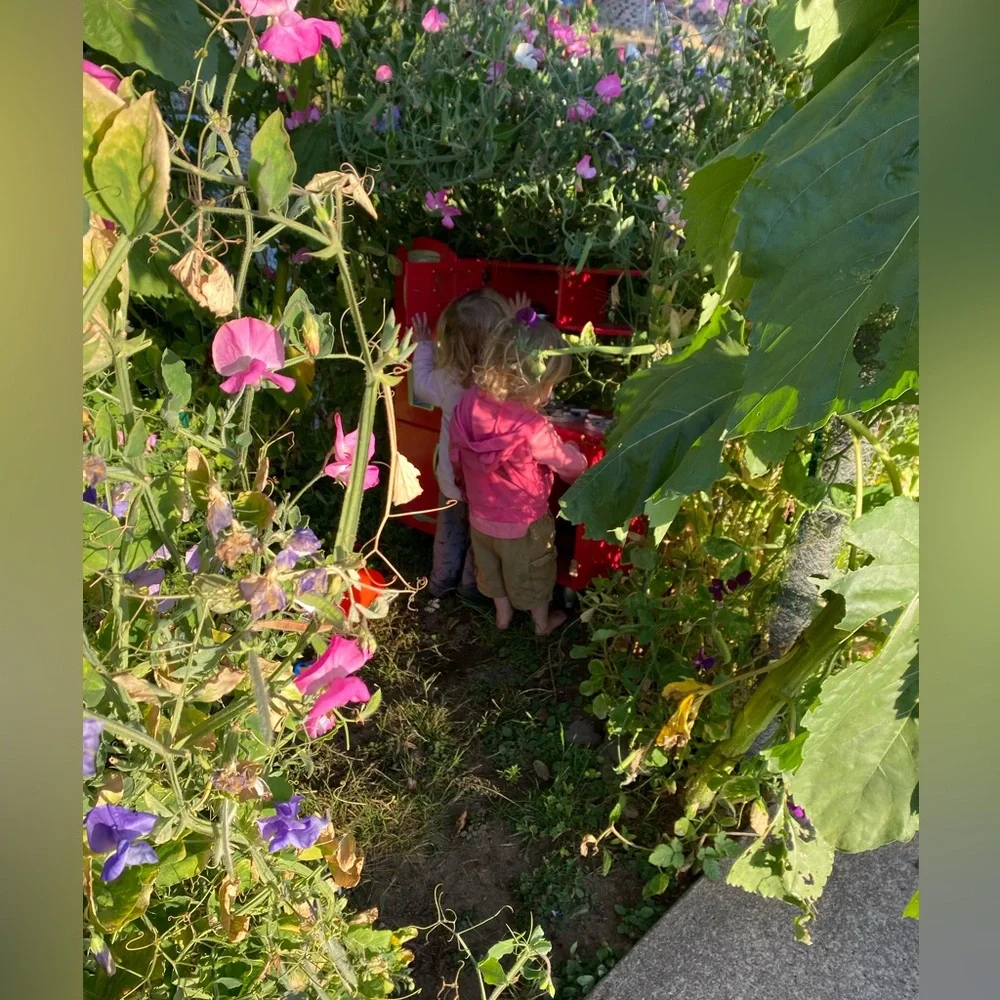 Share Show! Usually No Theme, Just Be Nice. Unlisted Items Too! @katyw12 - Picture 12 of 13